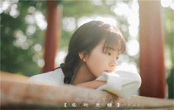 东坡胎儿性别鉴定需要多少钱(胎儿性别鉴定的方法)